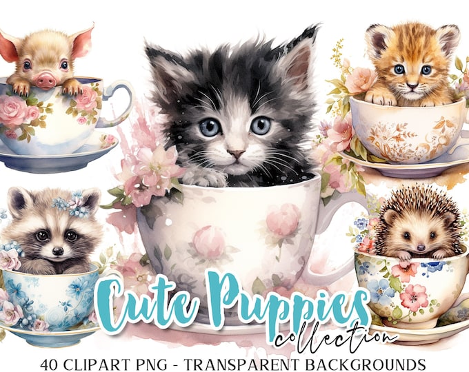 CUTE PUPPIES 40 Png watercolor clipart | printable supplies scrapbook shabby journal paper craft | floral pets card making ephemera | cl146
