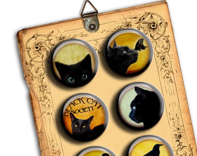 Digital printable BLACK CATS 1.313 inch button machine pet black quote scary halloween magnet pendant instant download printable tn223