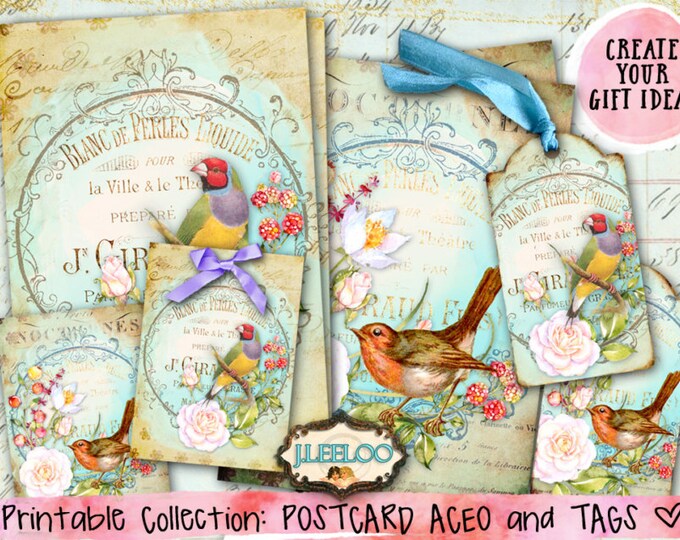 ROMANTIC BIRD printable card and tags scrapbook ephemera instant download Digital collage sheet pp343