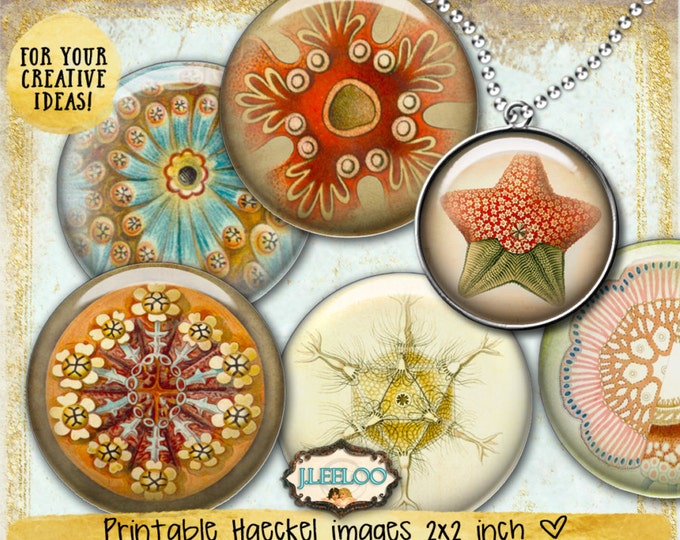 Digital printable HAECKEL LIFE 2 inch circle sheets nature digital images for pendant magnet craft instant download tn522