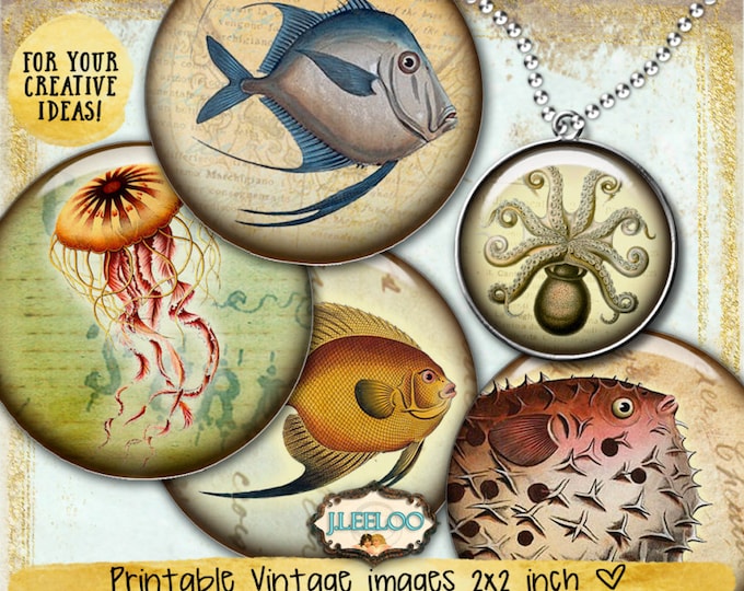 SEA LIFE Digital collage sheets 2 inch circle octopus jellyfish fish magnet stickers pendant craft instant download printable tn519