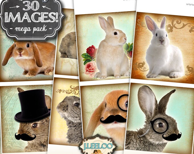 RABBIT 4x4 inch square digital collage sheets printable greeting cards card making scrapbooking easter cards instant download qu484