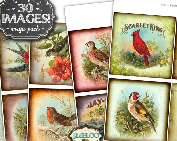 THE BIRDS 4x4 inch square digital collage sheets coaster greeting cards card making magnets instant download printablebig bundle qu480