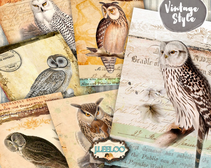 OWLS POSTER 6 printable digital papers - instant download for scrapbook diary art paper goods iron on - pp386