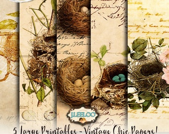 YOU ARE My NEST 5 digital collage sheet digital graphics vintage papers shabby instant download digital print diary printable pp182