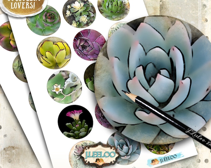 Digital collage SUCCULENTS 2 inch circle for magnets scrap jewelry glass pendants hang tags scrapbook original instant download tn556