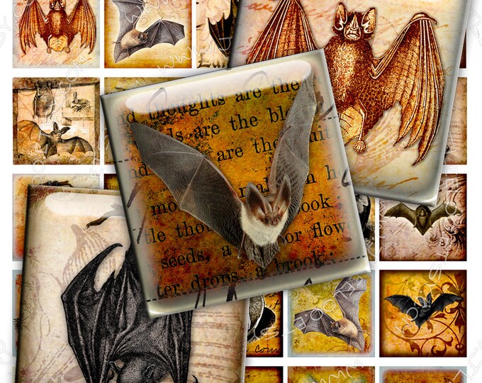 Digital collage sheet SPOOKY BAT 1.5 inch square for goth scary halloween bat skull raven pendant craft instant download printable qu379