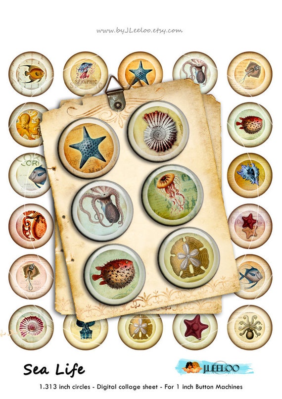 SEA LIFE  digital collage sheet 1.313 inch for button machine jellyfish fish magnet stickers pendant craft instant download tn561
