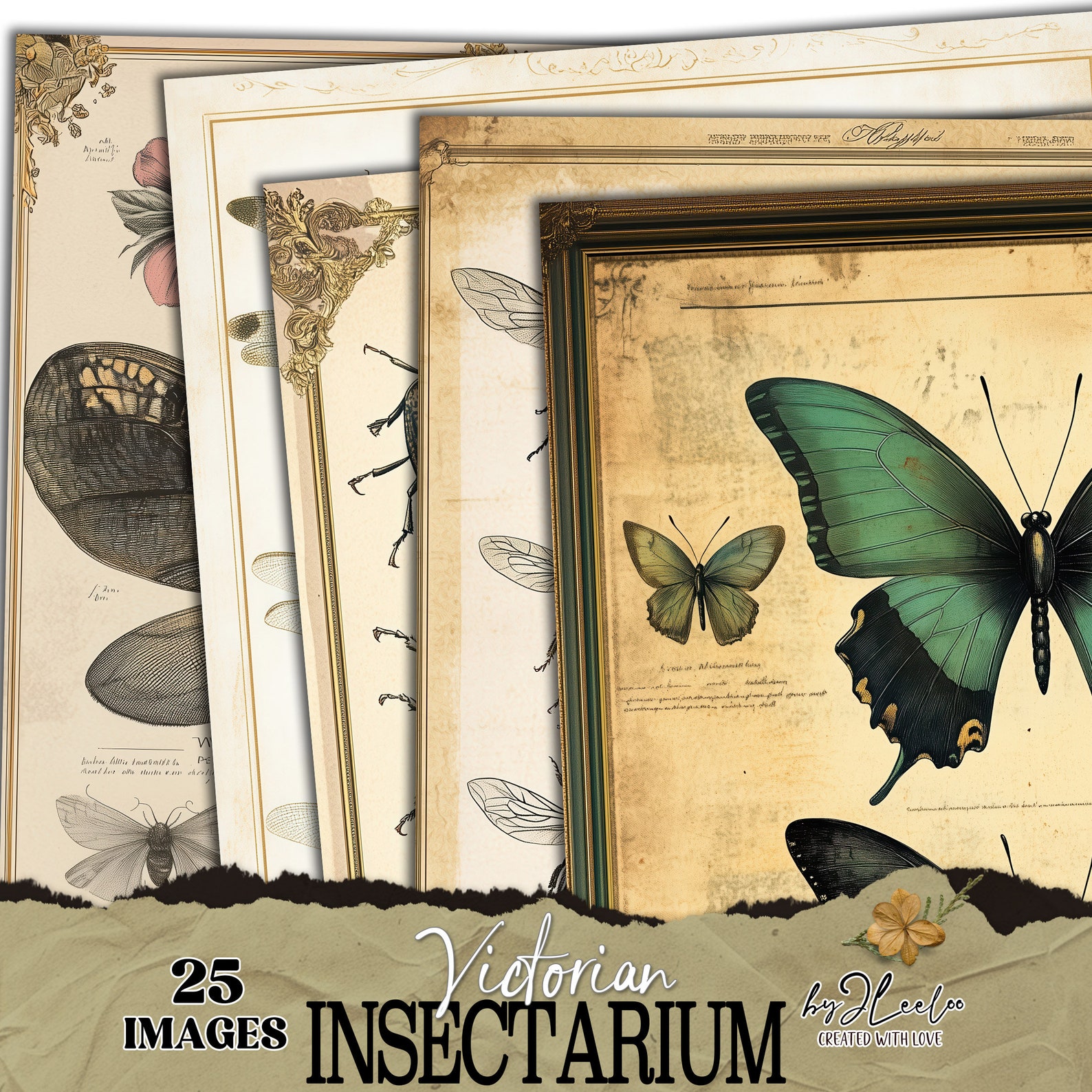 VICTORIAN INSECTARIUM Vintage Pages Collage | Old Naturalistic Charts ...