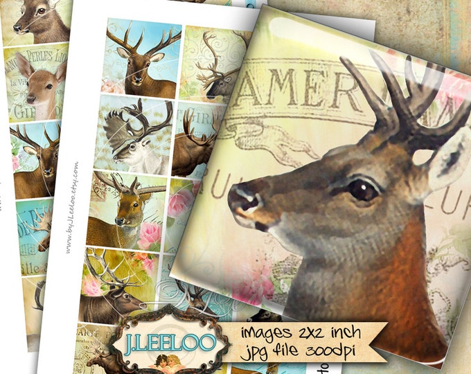 Digital printable HORNS 2x2 inch square deer moose digital images paper goods mirror chic vintage pendant craft instant download qu454