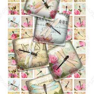 Digital druckbare LIBELLE 1 x 1 Zoll quadratische Blätter digitale Bilder Insekt Papierwaren schickes Weinleseanhänger-Handwerkssofort-Download qu425