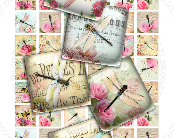 Digital printable DRAGONFLY 1x1 inch square sheets digital images insect paper goods chic vintage pendant craft instant download qu425