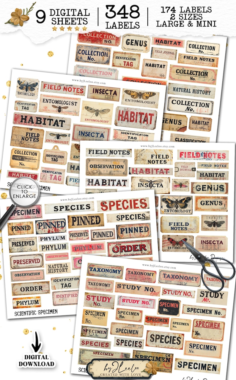 Labeling Insect Collection SCIENTIFIC SPECIMEN Printable Entomology | Word Labels Vintage Stickers ...