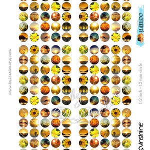 May include: A sheet of 1/2 inch (12 mm) round circle stickers featuring sunset and sunflower images. The stickers are arranged in two columns of 12 rows. The text "Sunshine" is printed on the right side of the sheet.