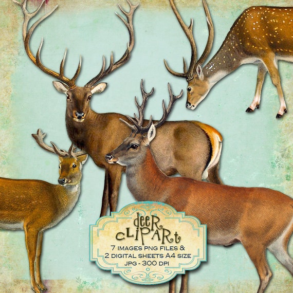 DEER CLIPART 7 images png files Digital collage sheet digital images for scrapbook altered art diary instant download printable pp219