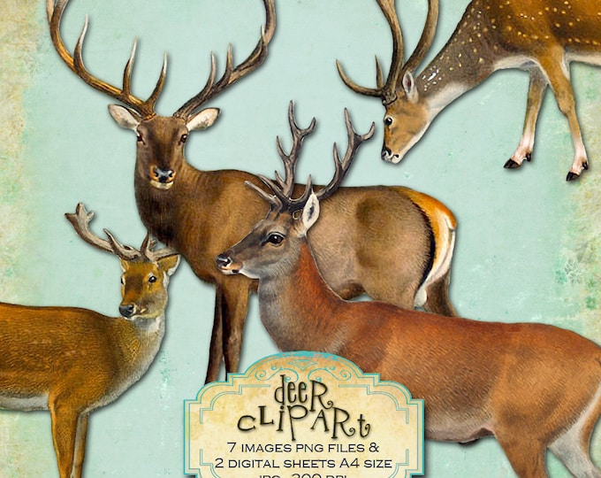 DEER CLIPART 7 images png files Digital collage sheet digital images for scrapbook altered art diary instant download printable pp219