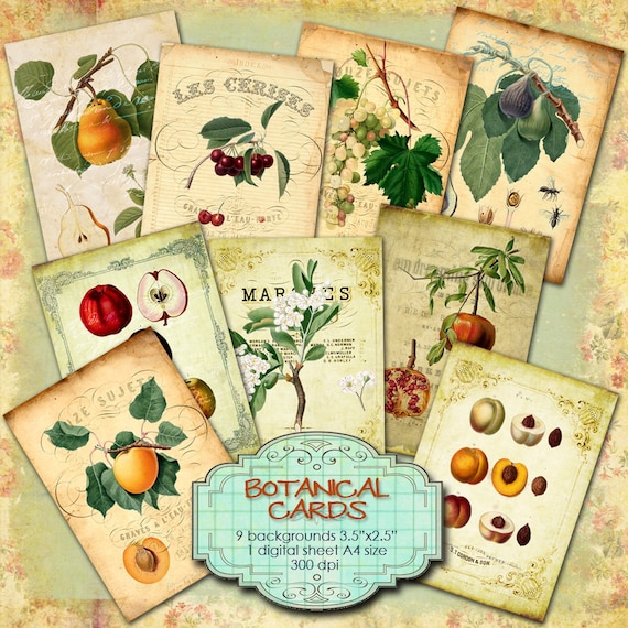 BOTANICAL CARDS atc aceo size shabby chic collage sheet flora fruit nature ephemera gift tag jewelry holder digital paper craft ac261