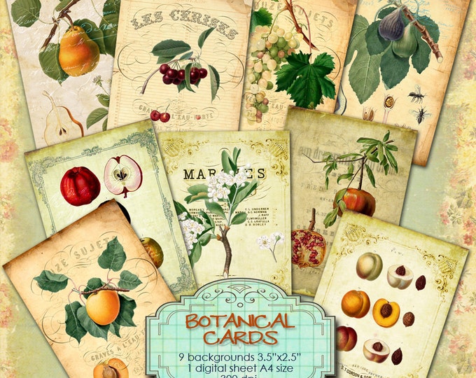 BOTANICAL CARDS atc aceo size shabby chic collage sheet flora fruit nature ephemera gift tag jewelry holder digital paper craft ac261