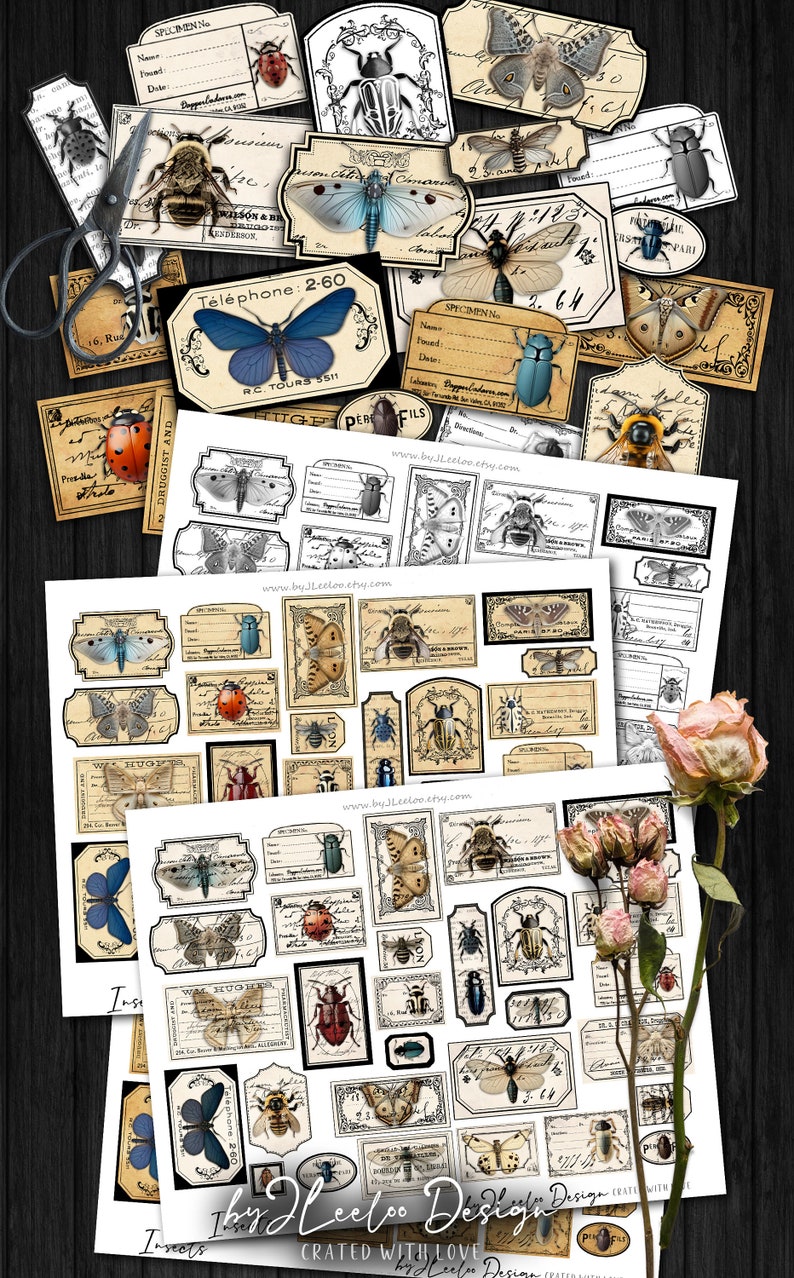 INSECTS Entomology Labels Kit Printable Vintage Ephemera Butterfly ...