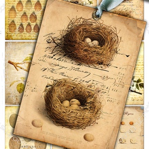 UOVA E NIDO shabby chic Foglio collage digitale stampabile scaricare journaling uccelli natura nido uova gioielli porta carta mestiere ac258