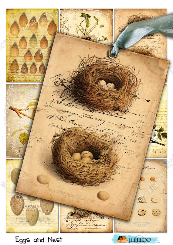UOVA E NIDO shabby chic Foglio collage digitale stampabile scaricare journaling uccelli natura nido uova gioielli porta carta mestiere ac258