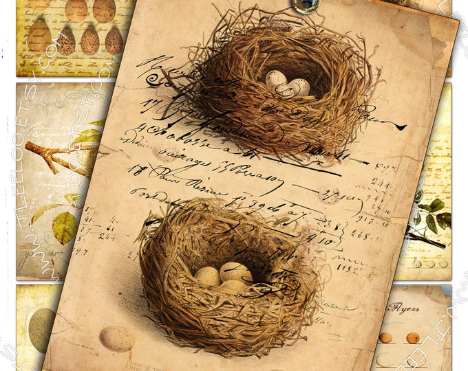 UOVA E NIDO shabby chic Foglio collage digitale stampabile scaricare journaling uccelli natura nido uova gioielli porta carta mestiere ac258