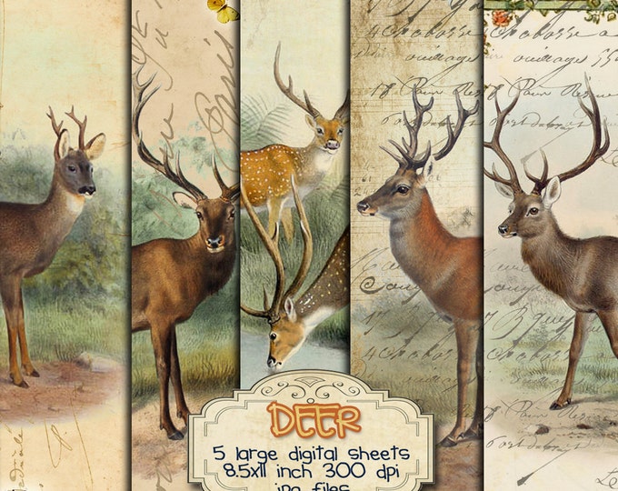 DEER 5 collage sheet digital graphics Digital collage sheet invitation instant download printable diary art paper goods pp207