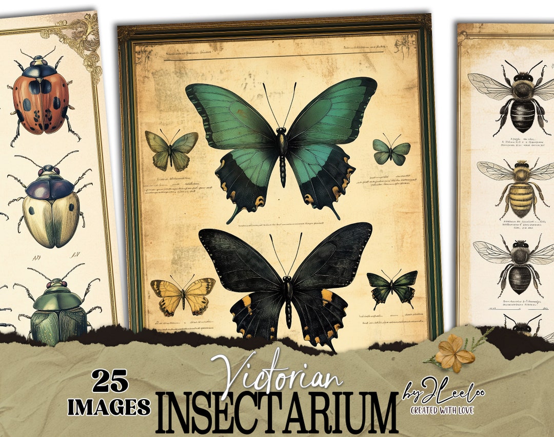 VICTORIAN INSECTARIUM Vintage Pages Collage | Old Naturalistic Charts ...
