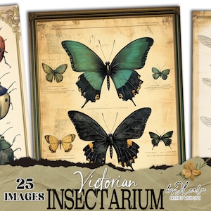 VICTORIAANSE INSECTARIUM vintage paginacollage | Oude naturalistische kaarten junk journal digitale achtergrond Insectencollectie Gemengde techniek | pp827