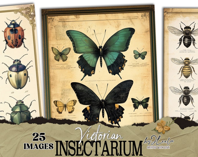 VICTORIAN INSECTARIUM vintage pages collage | Old naturalistic charts junk journal digital background Insect collection Mixed media | pp827