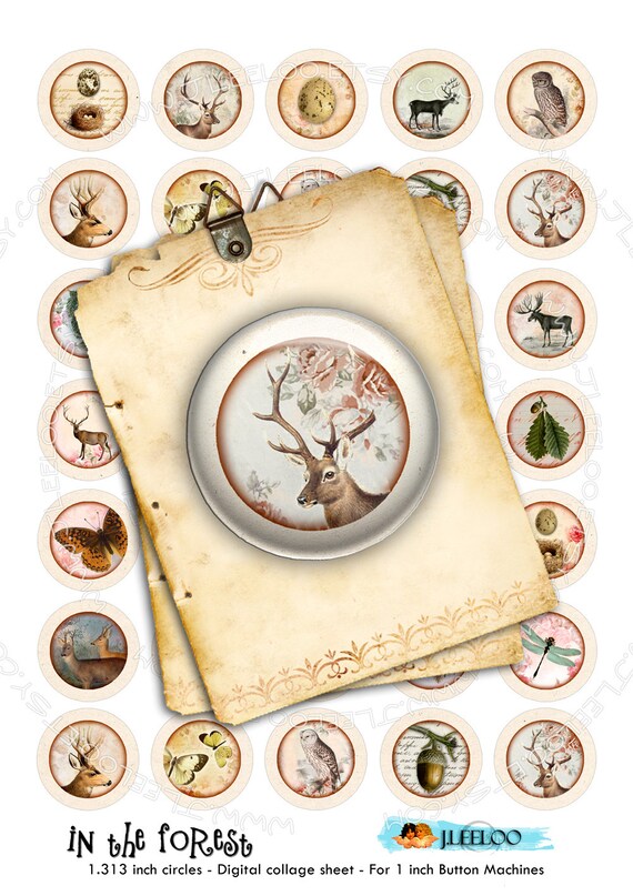 Digital images IN THE FOREST 1.313 inch for button machine deer owl moose printable instant download digital sheet tn329