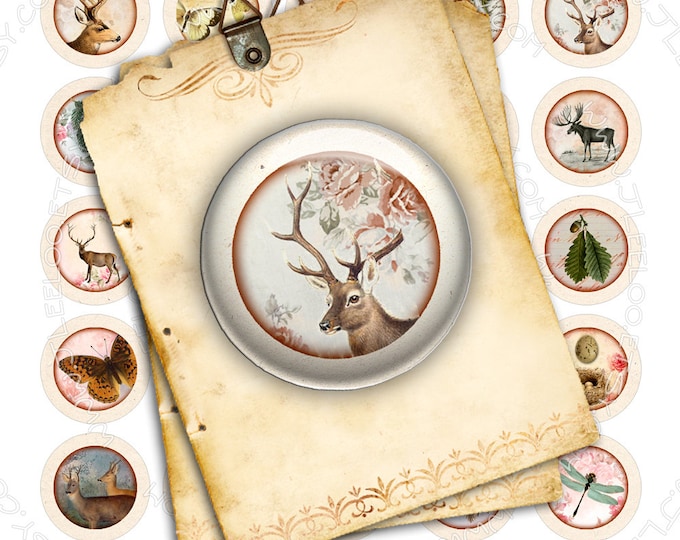 Digital images IN THE FOREST 1.313 inch for button machine deer owl moose printable instant download digital sheet tn329