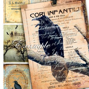 RAVEN CARD stampabile formato aceo Collage digitale articoli di carta portagioielli invito gotico festa download immediato sfondo ac199