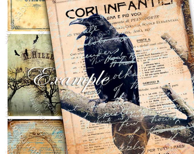 RAVEN CARD stampabile formato aceo Collage digitale articoli di carta portagioielli invito gotico festa download immediato sfondo ac199