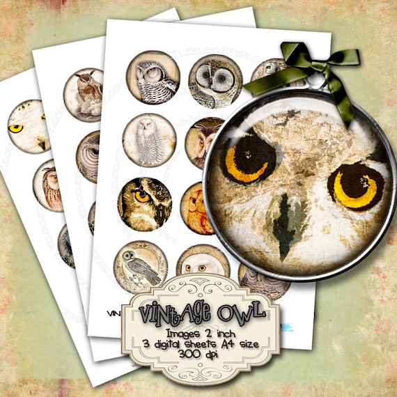 Digital paper VINTAGE OWL 2 inch circle digital images bird wings raptors pendants magnet stickers instant download printable tn263
