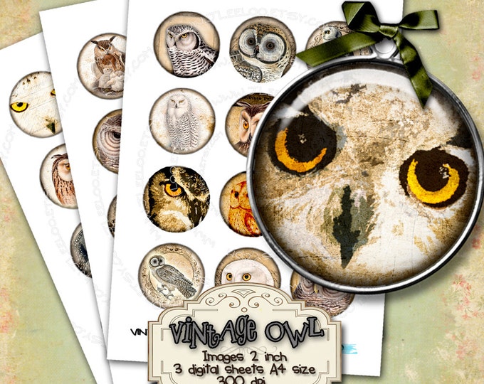 Digital paper VINTAGE OWL 2 inch circle digital images bird wings raptors pendants magnet stickers instant download printable tn263