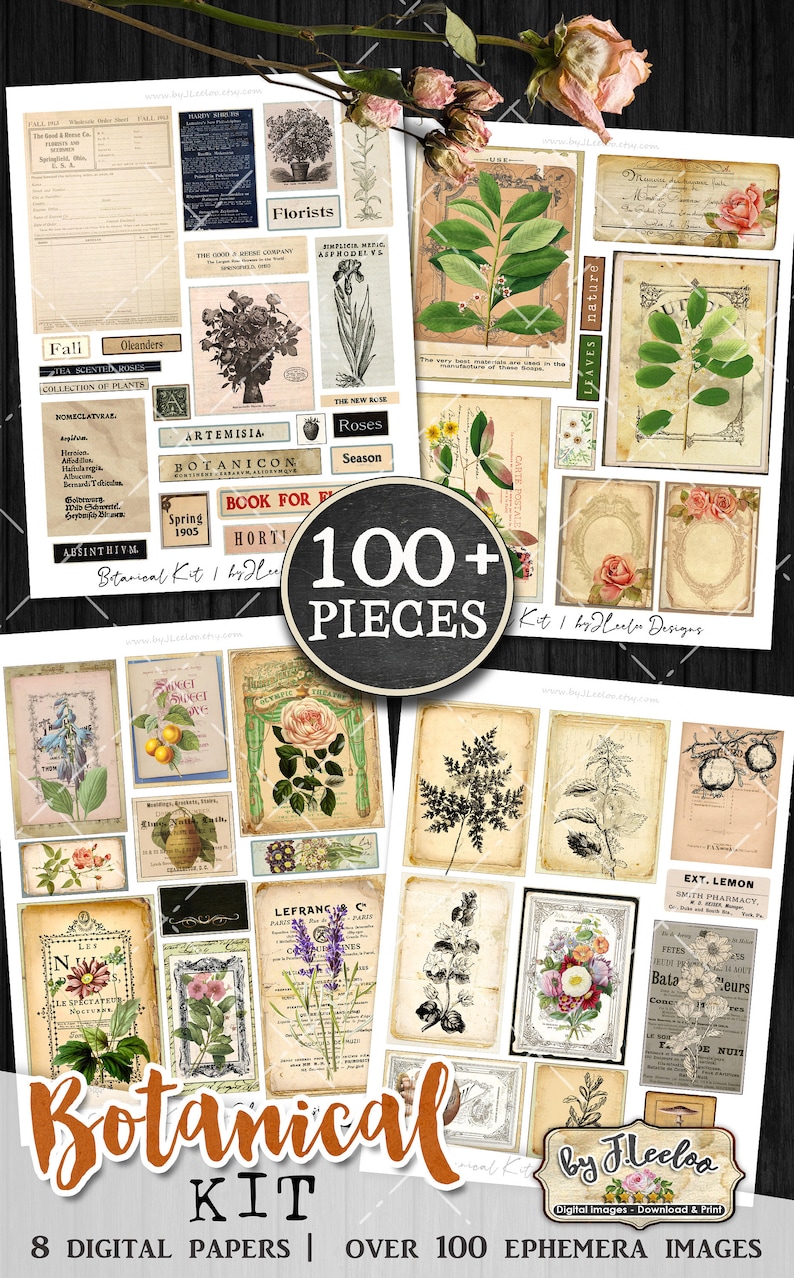 K&ouml;nnte beinhalten: Ein digitales Collage-Kit mit &uuml;ber 100 botanischen Illustrationen und Ephemera-Bildern. Das Kit enth&auml;lt Vintage-Botanikdrucke, florale Illustrationen und Texte. Die Bilder sind in Braun-, Gr&uuml;n- und Wei&szlig;t&ouml;nen gehalten.