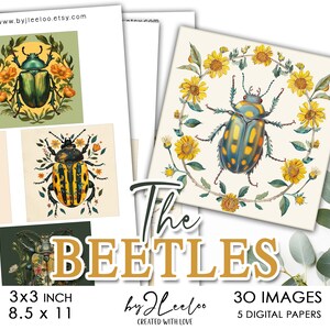 May include: A digital paper pack featuring 30 images of beetles with floral accents. The beetles are depicted in a variety of colors, including green, yellow, blue, and black. The flowers are mostly yellow and white. The text "The Beetles by JLeeloo" is displayed at the bottom of the image.