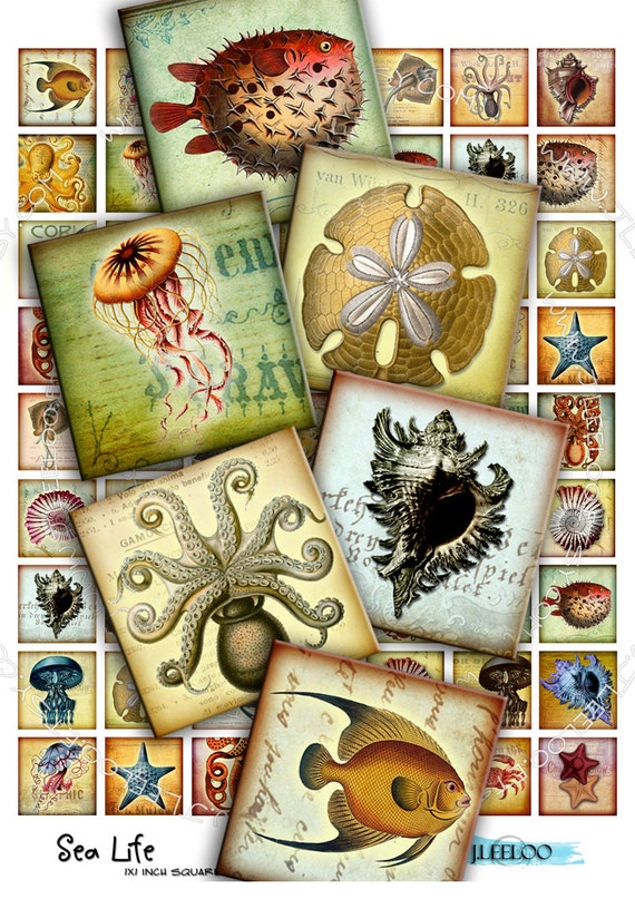 Digital collage sheet SEA LIFE 1x1 inch square octopus jellyfish fish magnet stickers pendant craft instant download printable qu269