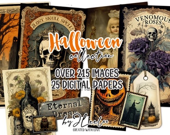 Collezione HALLOWEEN 215 immagini / gotico raccapricciante scrapbook spazzatura diario digitale forniture effimere / tag etichetta foto vintage Bundle / pp629