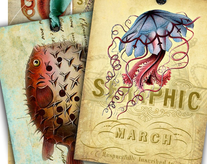 SEA LIFE 2 printable cards sea animal nature greeting collage atc aceo size  instant download printable ac286