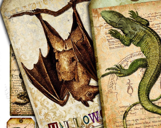 CREATURES label tags jewelry holder halloween bat frog reptiles for craft art instant Digital collage sheet download printable tl103