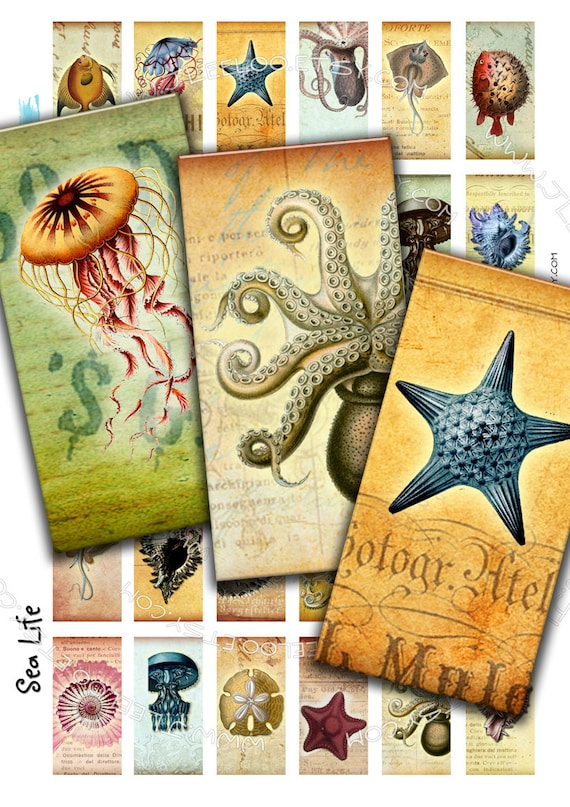SEA LIFE 2x1 inch domino Digital collage sheet octopus jellyfish fish magnet stickers pendant craft instant download printable do139