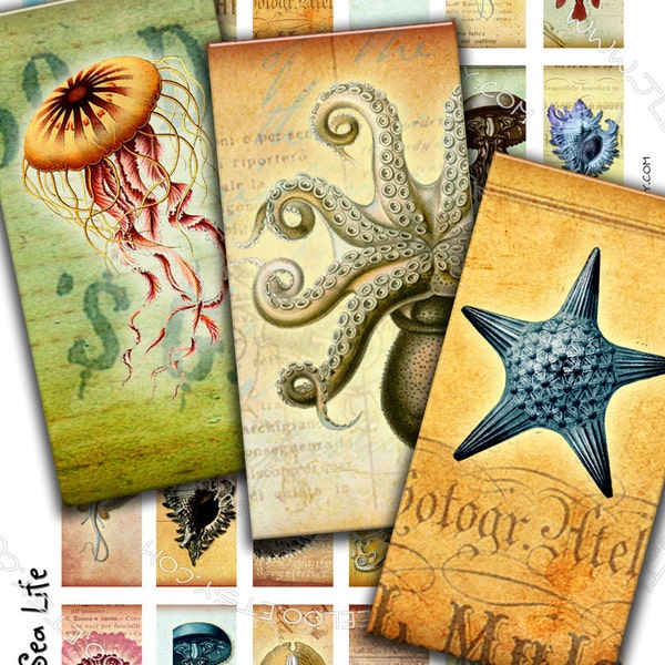 SEA LIFE 2x1 inch domino Digital collage sheet octopus jellyfish fish magnet stickers pendant craft instant download printable do139