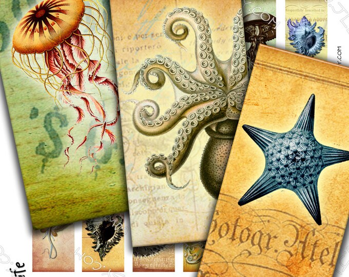 SEA LIFE 2x1 inch domino Digital collage sheet octopus jellyfish fish magnet stickers pendant craft instant download printable do139