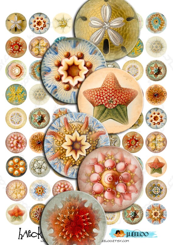 HAECKEL LIFE Printable digital images 1" for round pendants, bezel trays, glass cabochon mountings, cameo settings scrapbook tn234