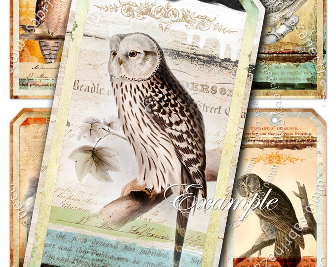 SOMETIMES OWLS label tags jewelry for animal lovers Digital collage sheet instant download printable birds collage for scrapbook tl125