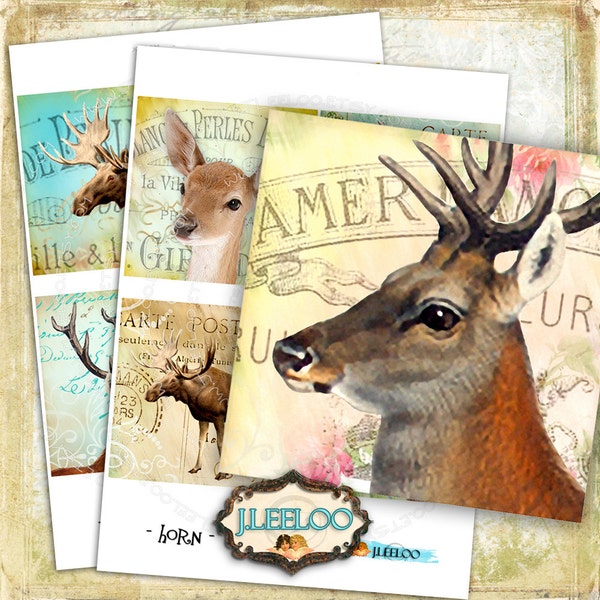 Digital collage HORNS 4x4 inch square mammals rose deer coaster flower stickers greeting card pendant instant download printable qu437