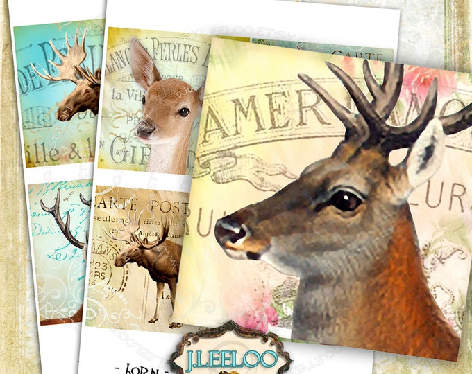 Digital collage HORNS 4x4 inch square mammals rose deer coaster flower stickers greeting card pendant instant download printable qu437