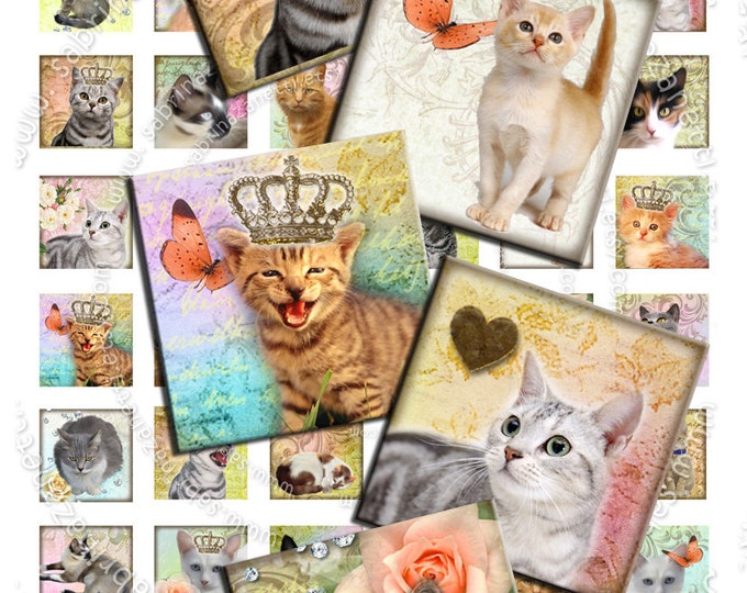 Digital collage sheet WONDER CAT'S 1x1 square puppie love kitten for pendant jewellery clipart magnet instant download printable qu228